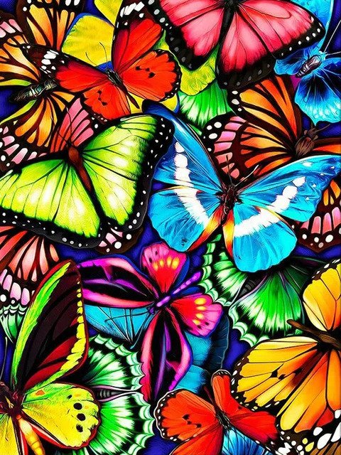 Rainbow Butterfly Diamond Art 