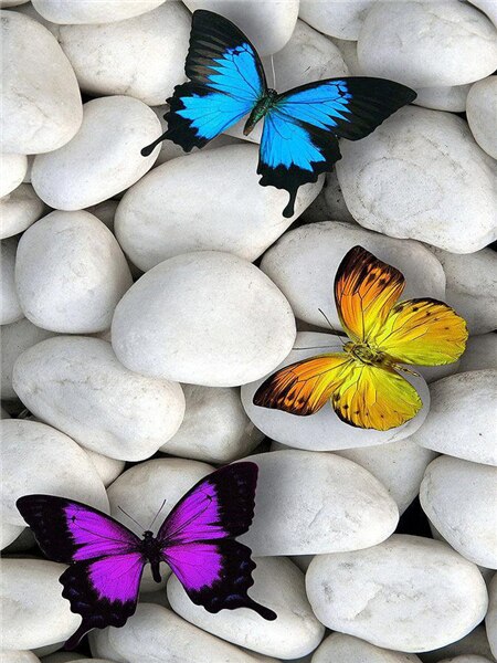 Beautiful Butterflies On Stones Best Diamond Bead Art