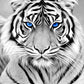 Stunning Blue Eyes Tiger Best Bead Art Kits