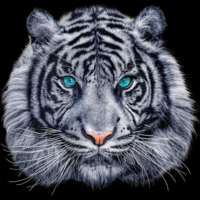 5D Diamond Painting Of White Tiger With Beautiful Eyes