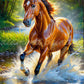 Horse Running In Water Diamond Dot Art