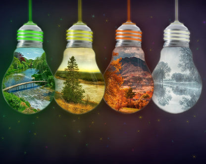 The Four Seasons Lightbulb Diamond Painting Art