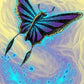 Beautiful Butterfly Diamond Art
