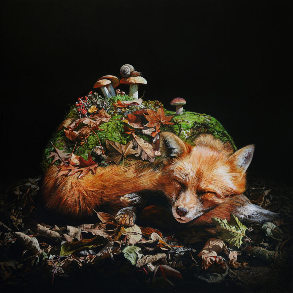 5D Diamond Art Of Sleeping Fox