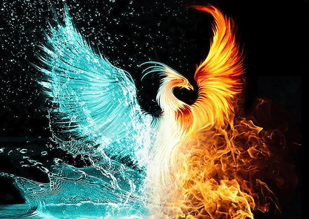 5D Diamond Painting Of Water And Fire Phoenix Bird Art