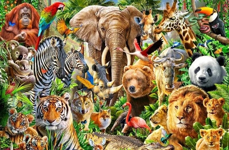 Adventures Jungle Animals Best Bead Art Kits