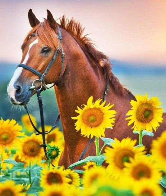 Beautiful Horse In Sunflower Field-Diamond Art