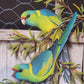 Beautiful Parrot Couple Diamond Bead Art