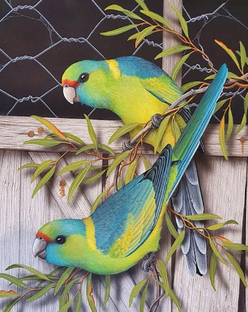 Beautiful Parrot Couple Diamond Bead Art