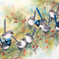 Beautiful Wren Birds Bead Art Kits