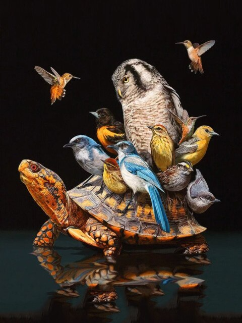Birds On Turtle Best Bead Art Kits