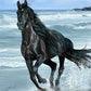 Black Horse Running In Water Bead Painting Kit
