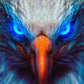 Blue Flaming Eagle Eyes 5D Diamond Bead Art