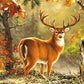 Buck In Autumn Forest Bead Art Kits