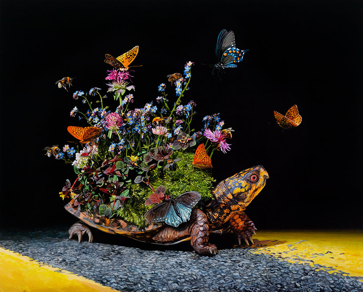 Butterflies World On Turtle Bead Art Kits