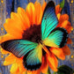 Butterfly On Sunflower Diamond Painting