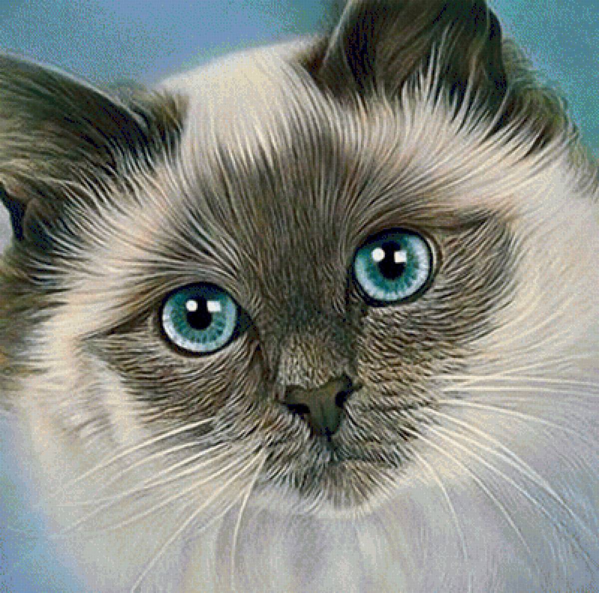 Cat With Blue Eyes Best Bead Art Kits