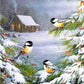 Christmas Scenes Love Birds Diamond Bead Art