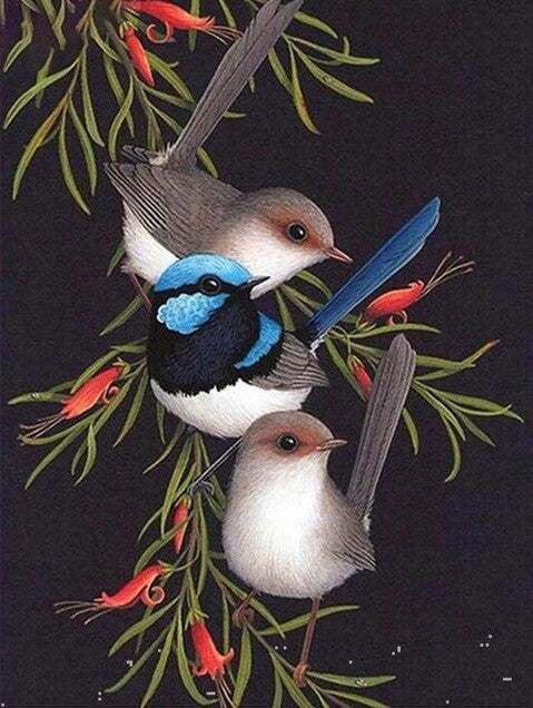Classical Birds Bead Painting Kit