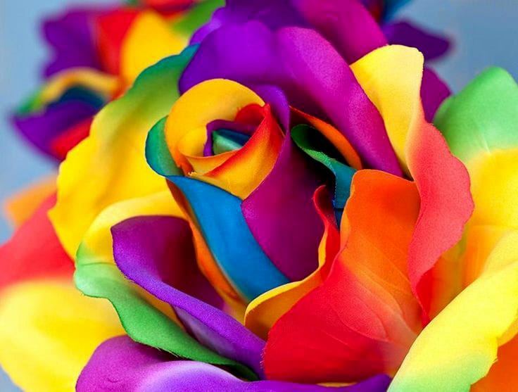 Colorful Rose Bead Art Kits