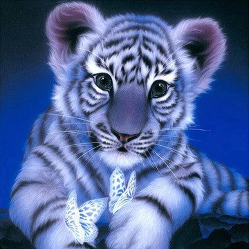 Cub With Butterflies 5D DIY Diamond Bead Art