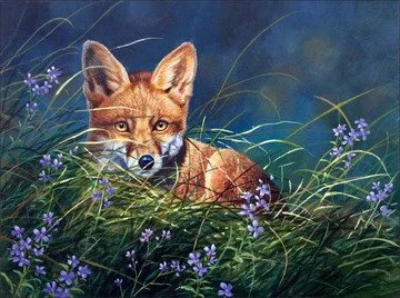 Curious Fox Diamond Bead Art Kit