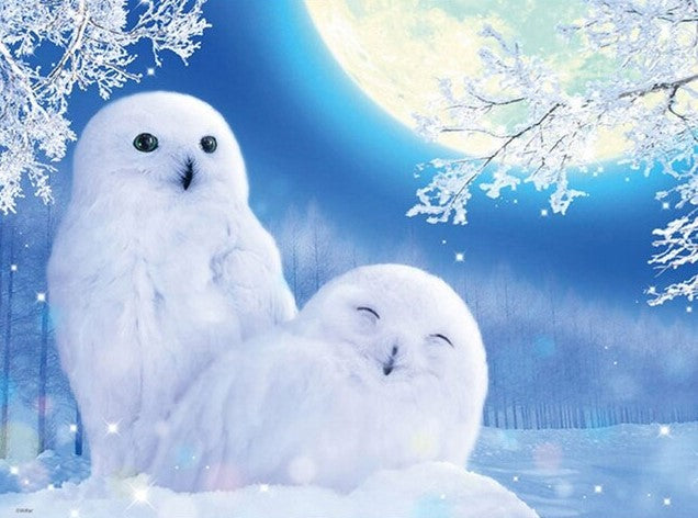 Cute Winter Owls Best Bead Art Kits