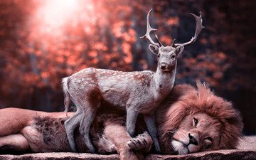 Deer&Lion Best Bead Art Kits