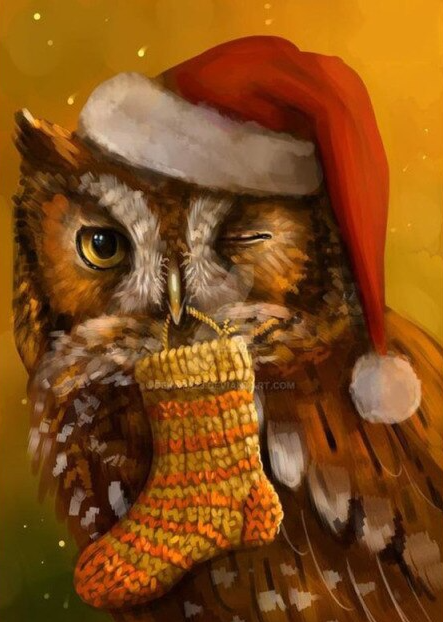 Diamond Painting Of Cute Christmas Owl