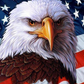 EAGLE WITH AMERICAN FLAG - DIAMOND PAINTING