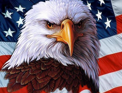 EAGLE WITH AMERICAN FLAG - DIAMOND PAINTING