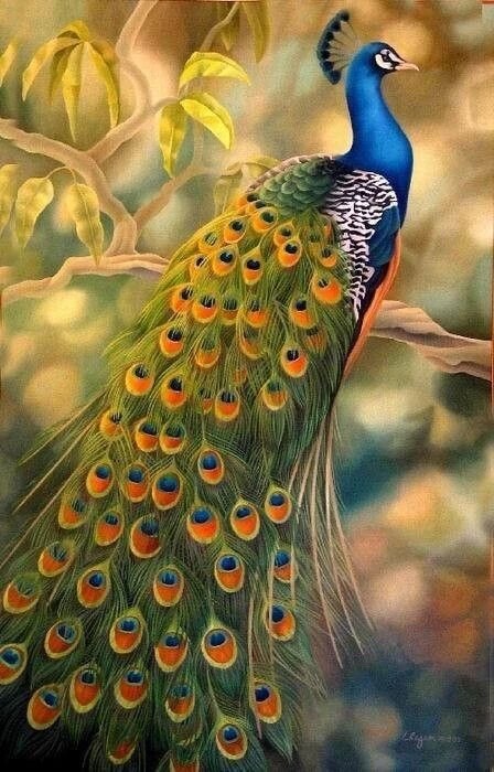 Elegant Peacock Bead Art Kits