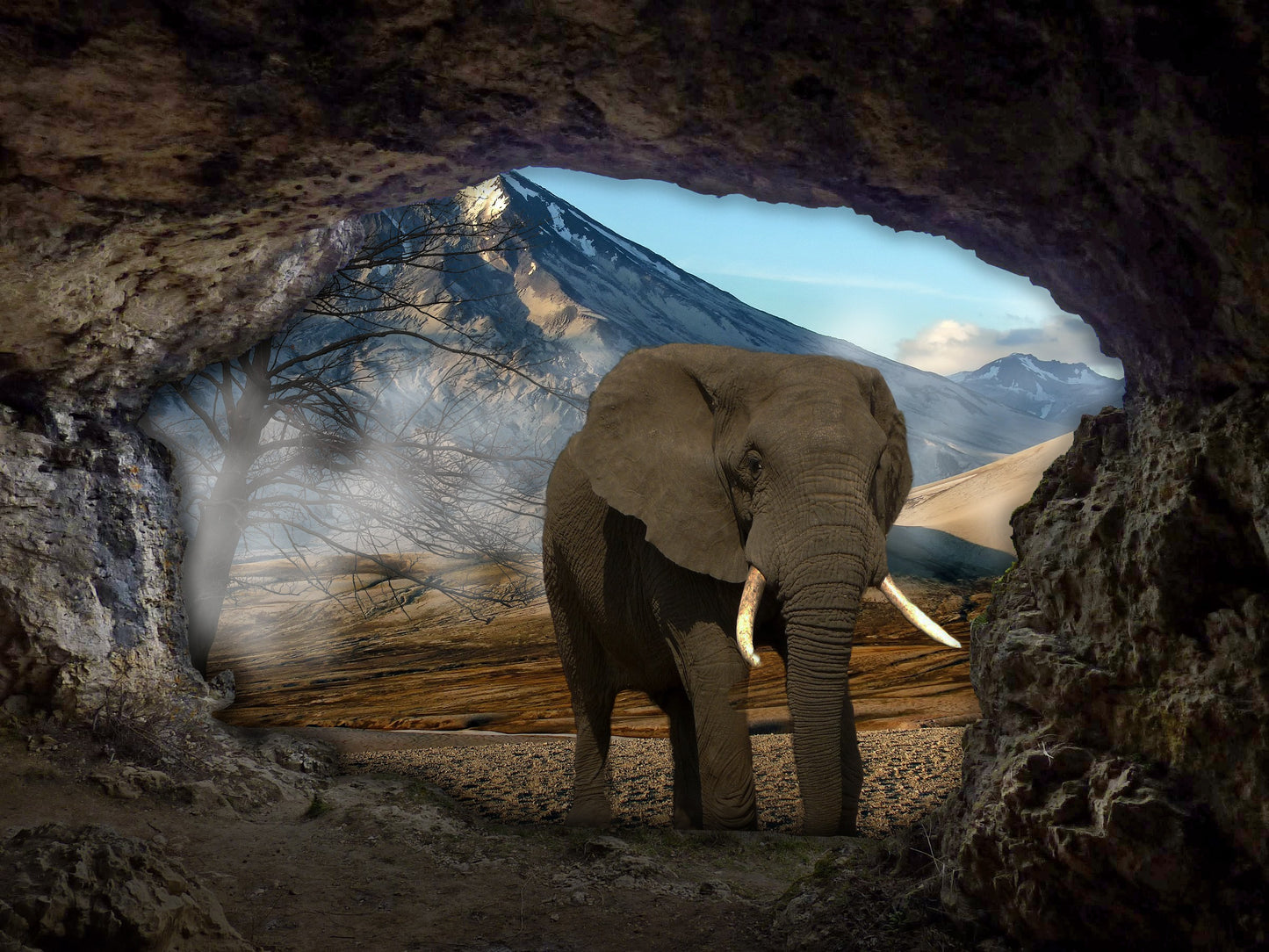 Elephant In The Cave Diamond Painting