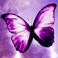 Fancy Purple Butterfly 5D Diamond Bead Art