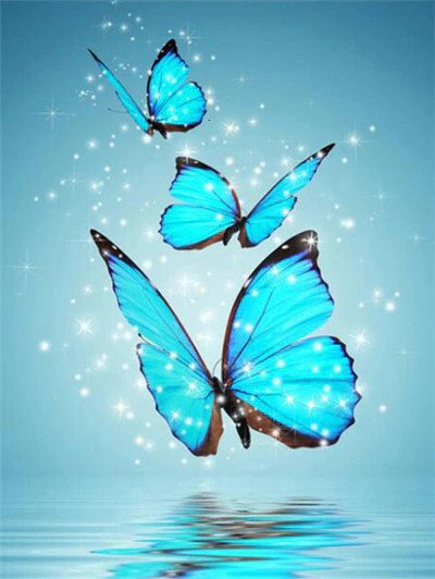 Glamorous Butterflies 5D Diamond Bead Art