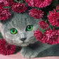Green Eyes Cat In Flowers Diamond Bead Art Kits