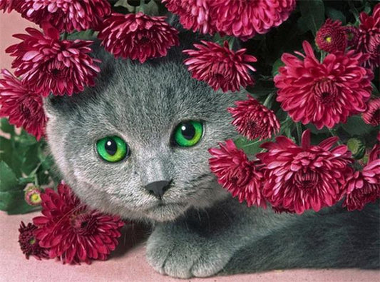 Green Eyes Cat In Flowers Diamond Bead Art Kits