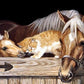 Horse And Cat Bead Painting Kit
