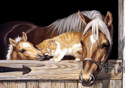 Horse And Cat Bead Painting Kit