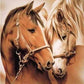 Horses Pair Best Bead Art Kits