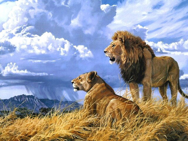 Lion And Lioness In Forest Best Diamond Painting Kit