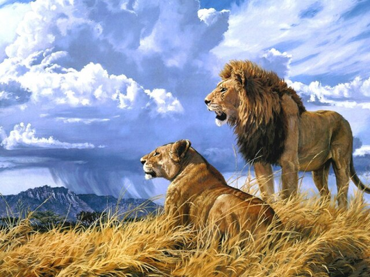 Lion And Lioness In Forest Best Diamond Painting Kit