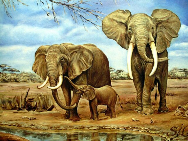Love Of Elephant Family Bead Art Kits