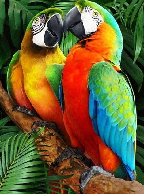 Macaw Parrot Couple Bead Painting Kits