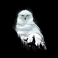 Magical Night Horror Owl Diamond Art