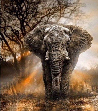 Majestic Elephant Diamond Painting