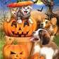 Moonlight Pumpkin Cats And Dogs 5D Diamond Painting