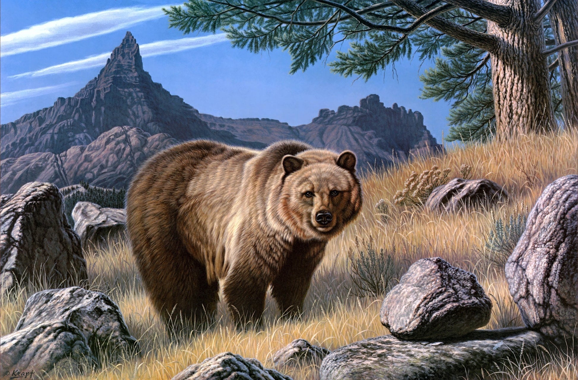 Mountain Bear Paint with Diamonds
