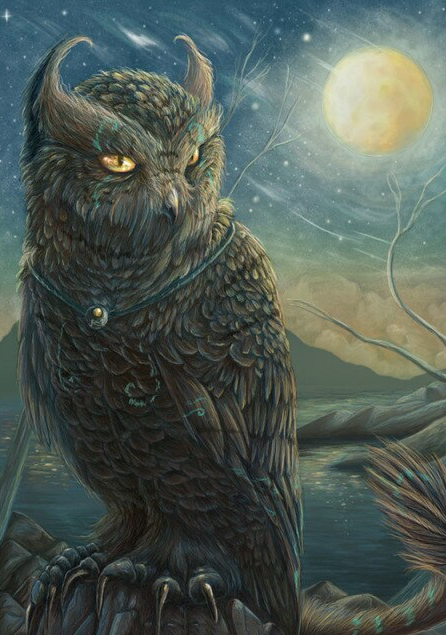 Night Rider Cat Owl Bead Art Kits