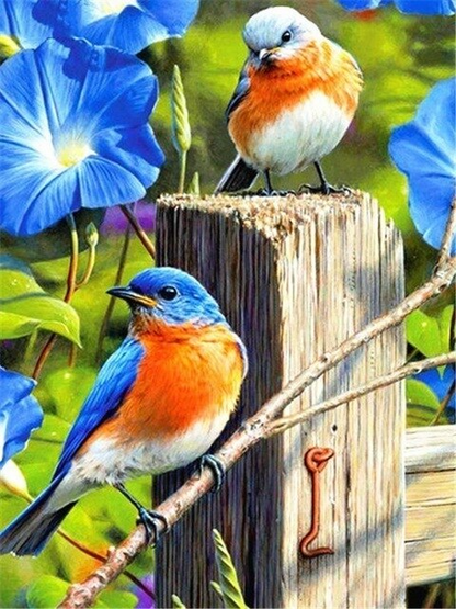 Pretty Blue Bird Couple Diamond Painting